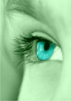 Bild: " Die Naturfriseurin "