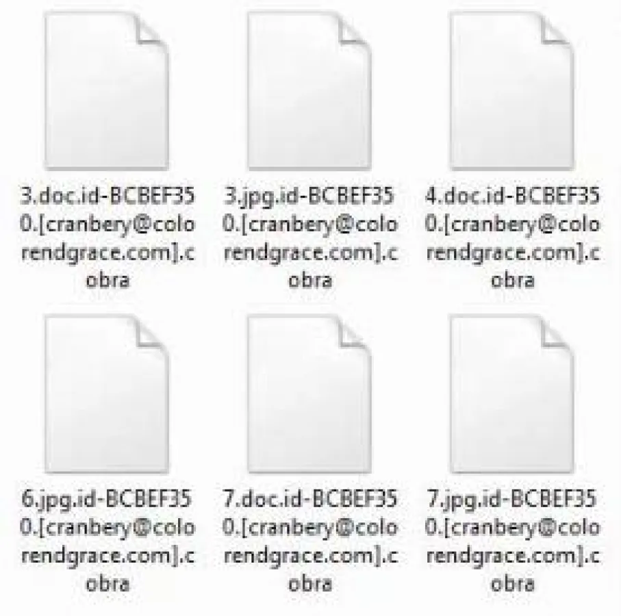 .cobra crysis dharma ransomware
