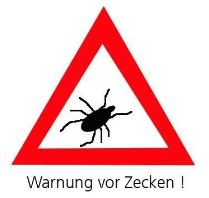 Bild: Achtung? Zecken! Zurich warnt vor vermeintlichen Zecken-Weisheiten