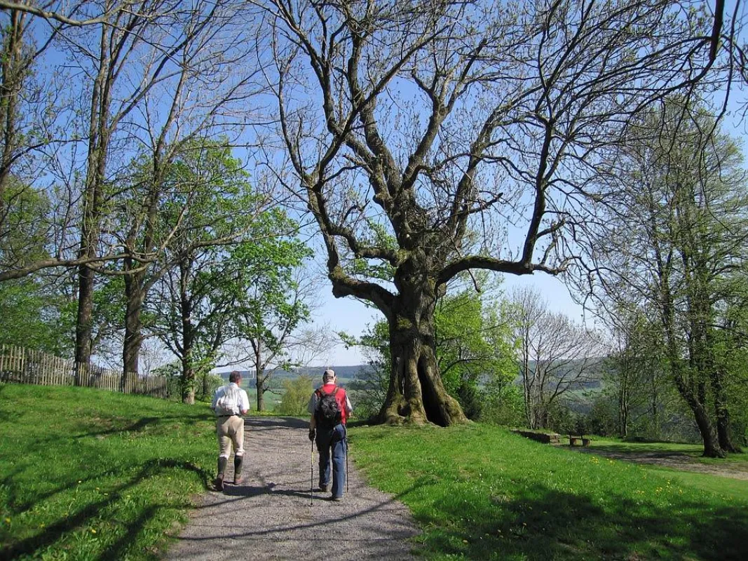 Wanderer auf dem Schlossberg in Ulrichstein (Foto: Christina Marx)