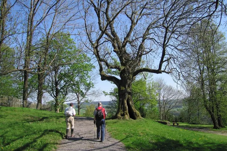 Bild: Wandern auf Extratouren in den Osterferien