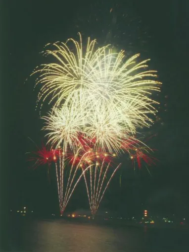 Silvester-Schäden sind vermeidbar Bild: Silvester-Schäden sind vermeidbar
