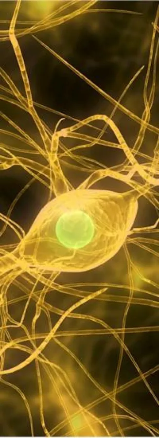 AFNB-Wissenschaftsforum 2009