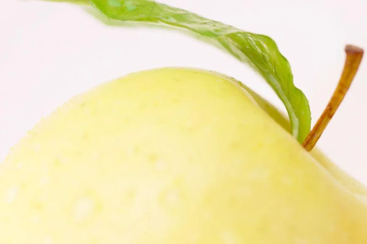 sicher, lecker, gesund