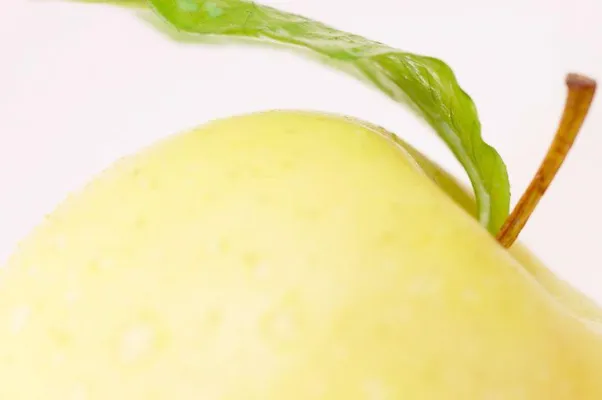 Bild: Kundenkommunikation in der Lebensmittelbranche