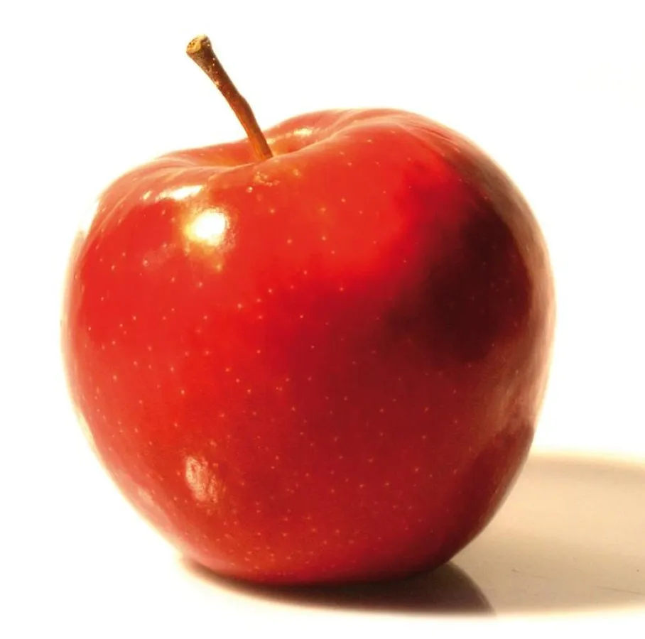 Apfelfest.Restaurant Schloss Morsbroich