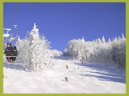 Bild: Winterurlaub in Bayern der Hund darf mit in den Schnee