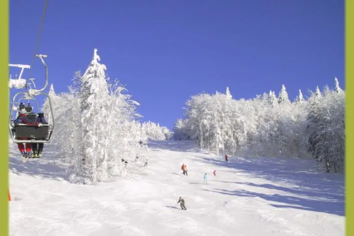 Bild: Winterurlaub in Bayern der Hund darf mit in den Schnee
