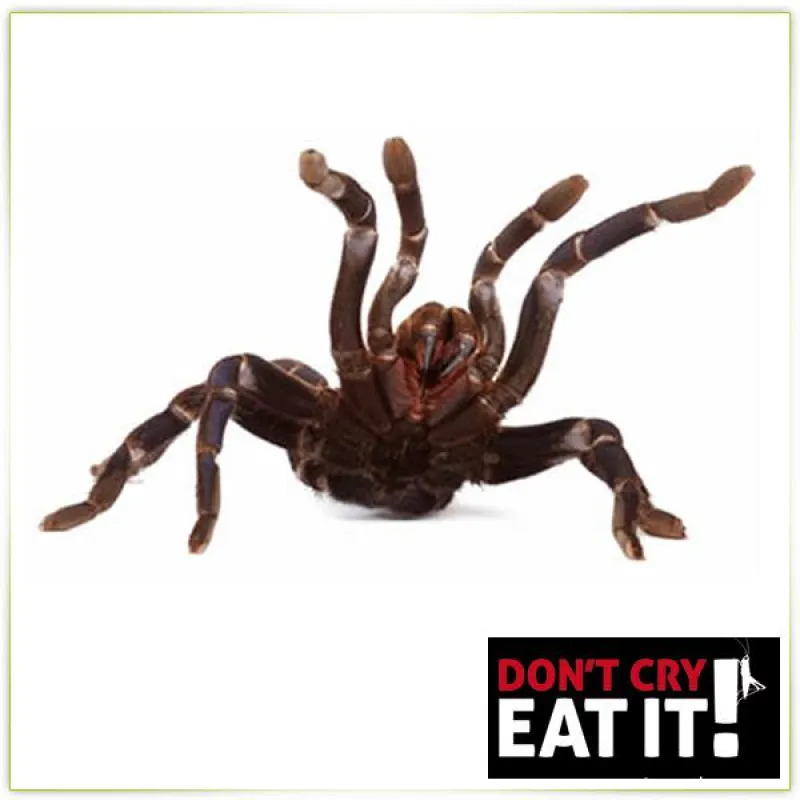 Essbare Spinne