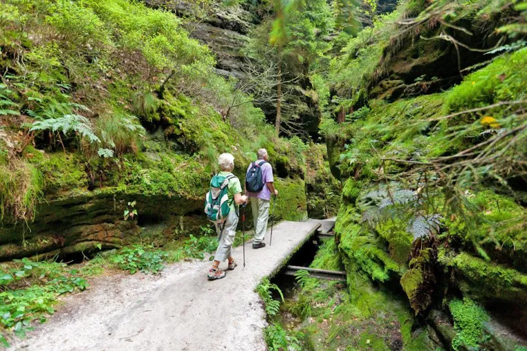 Deutliche Zuwächse im Sächsische-Schweiz-Tourismus Bild: Deutliche Zuwächse im Sächsische-Schweiz-Tourismus