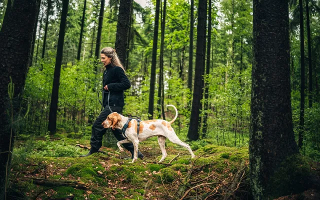 Thule stellt Thule Dart vor – Hundeausrüstung für gemeinsame Alltagaktivitäten Bild: Thule stellt Thule Dart vor – Hundeausrüstung für gemeinsame Alltagaktivitäten