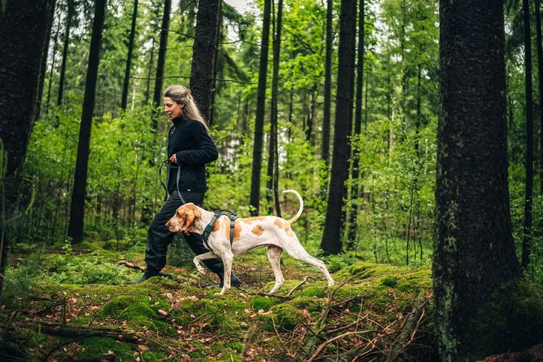 Bild: Thule stellt Thule Dart vor – Hundeausrüstung für gemeinsame Alltagaktivitäten