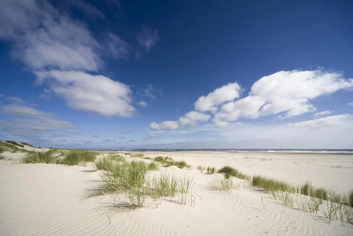 Spiekeroog, Nordsee, Nationalpark Wattenmeer, Ostfriesland, Lookphotosnr: 1183087  Axel Ellerhorst