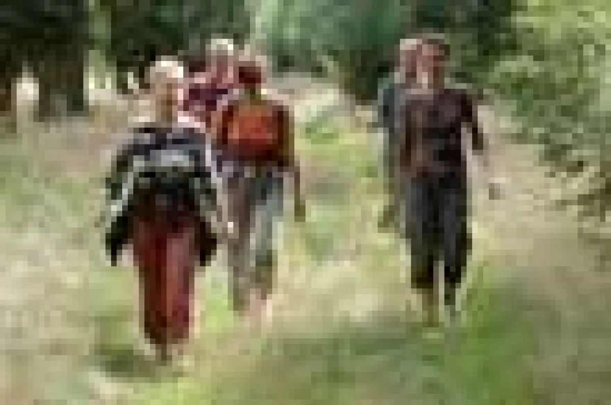 Körperliche Bewegung regt nicht nur die Durchblutung und Atmung an, sondern auch die Ausscheidungsorgane und fördert somit die gewünschte Entschlackung und Entgiftung des gesamten Körpers