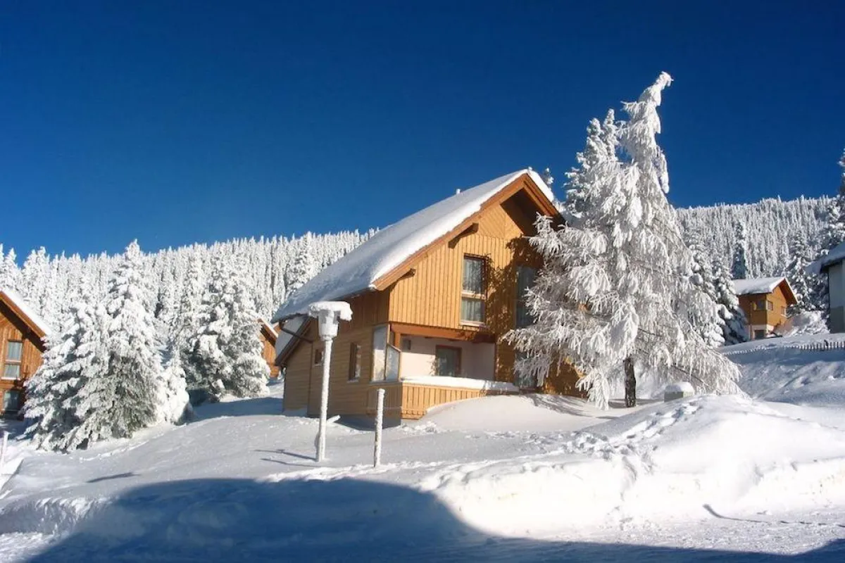 Urlaub mit Hund im Ferienhaus in Österreich