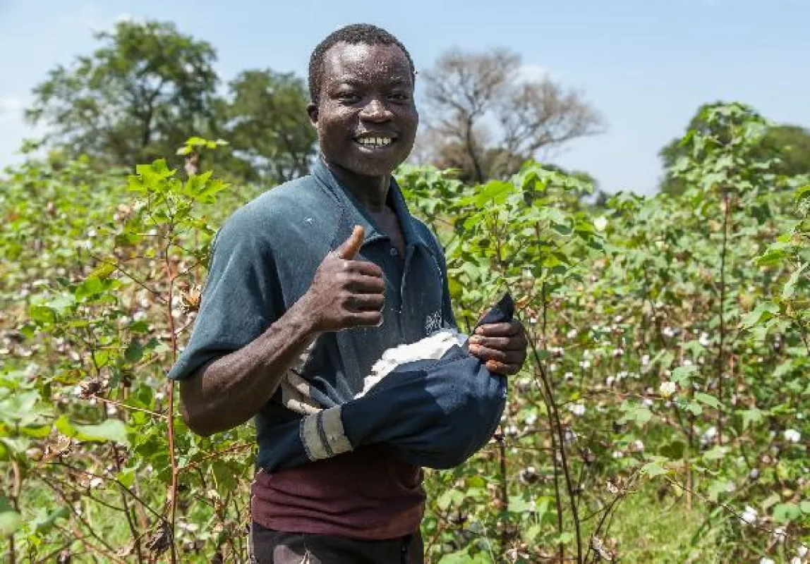 Ugandas Baumwolle ist und bleibt gentechnik-frei