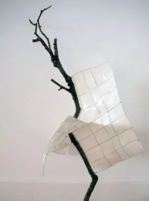 Bild: Ausstellung NATURKONTRASTE der Querdenker vom Erbachshof in Eisingen