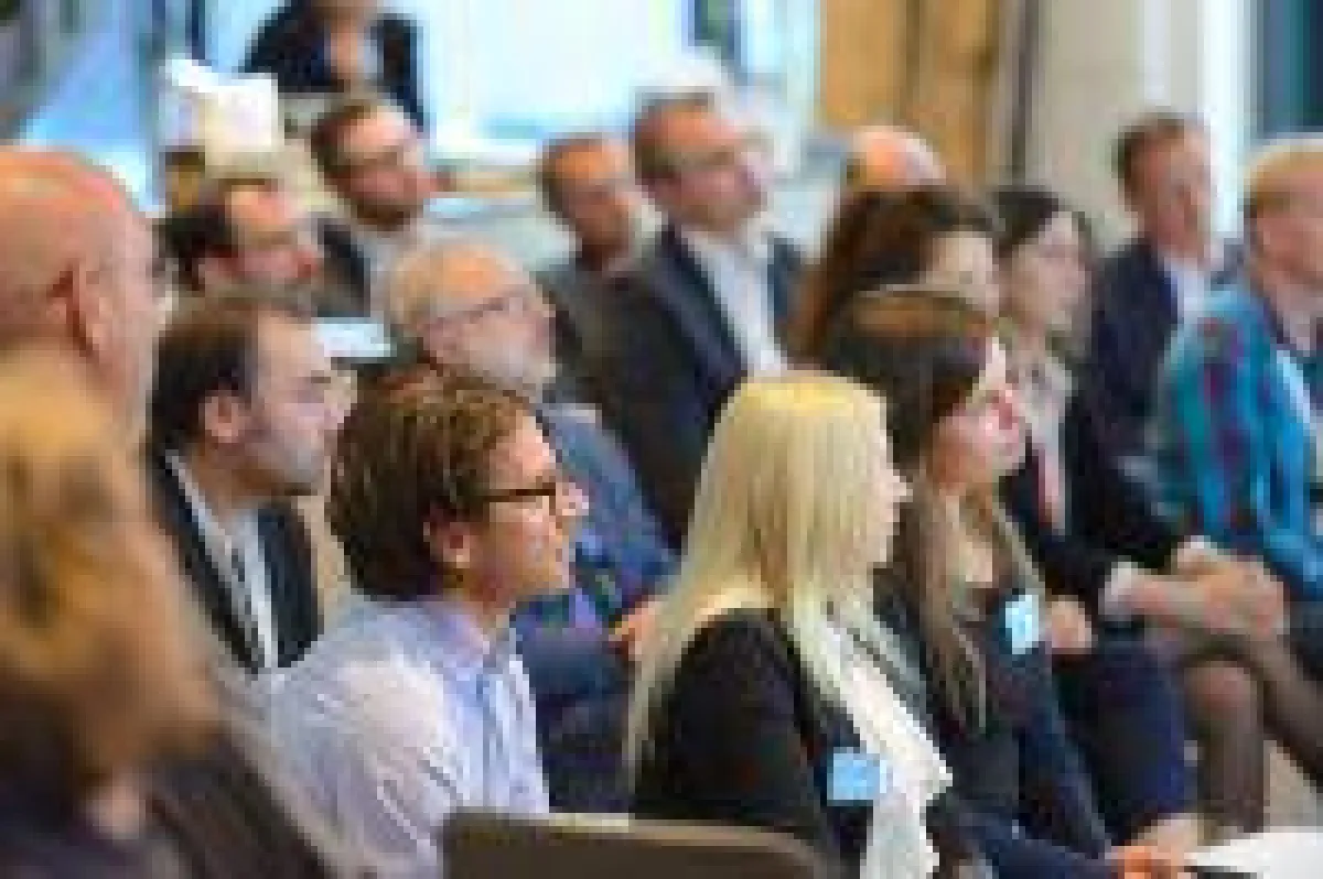 Netzgestalten           Foto: M. Green