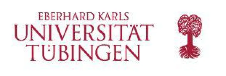 Bild: Robin-Hood-Effekt verstärkt Motivation in Mathe