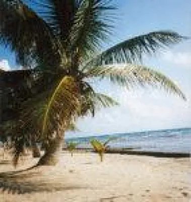 Bild: Lifestyle Gesundheit Tipps