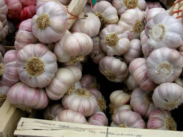 Bild: Knoblauch teurer: Neue Ernte aus China frisch eingetroffen
