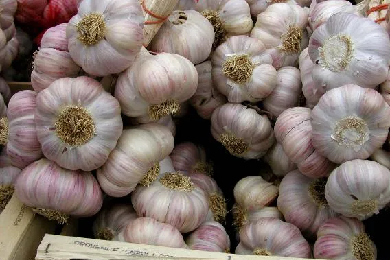 Bild: Knoblauch teurer: Neue Ernte aus China frisch eingetroffen