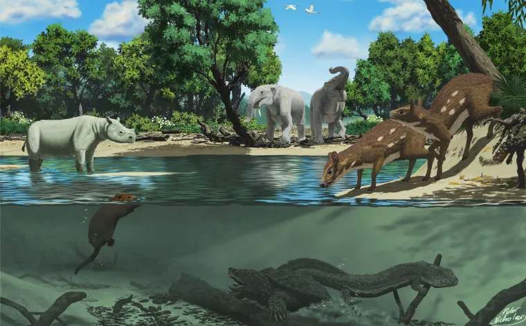 Bild: Hammerschmiede: Alles im Fluss in der Fossilfundstelle