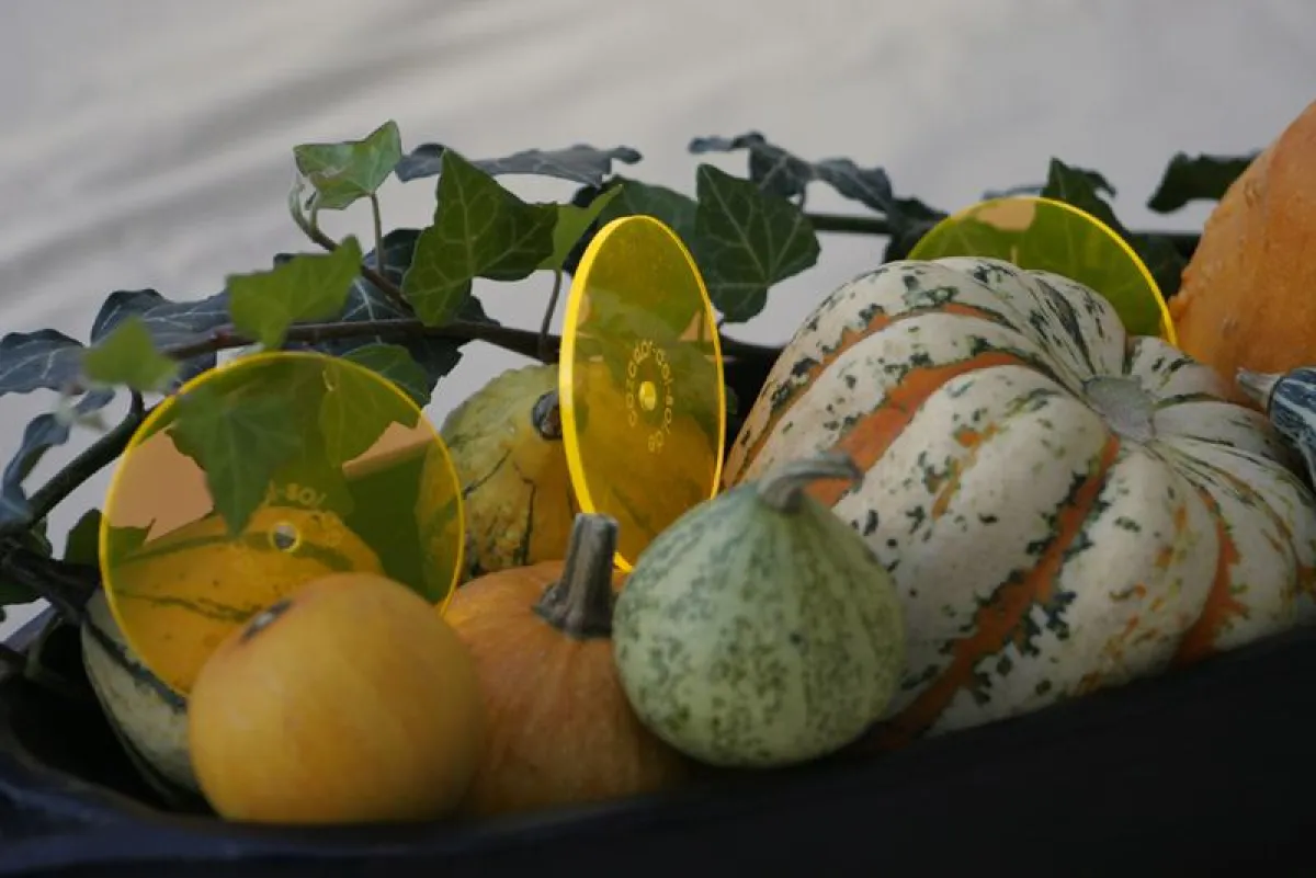 Die kleinen Sonnenfänger bringen die Herbstdekoration zum Leuchten