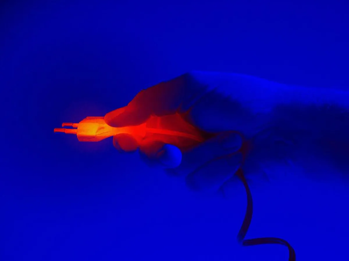 IT als ein Schlüssel für Energieeffizienz - ccc software gmbh