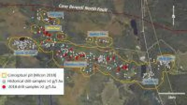 Bild: Maple Gold Mines - das schaut gut aus