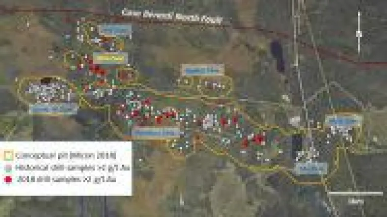 Bild: Maple Gold Mines - das schaut gut aus