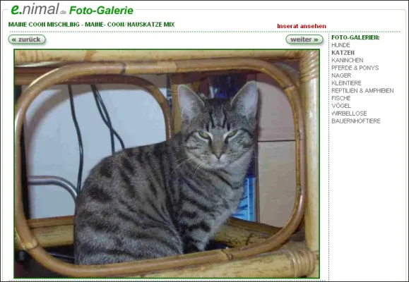 Bild: Schöne Tier-Foto-Galerien bei enimal.de