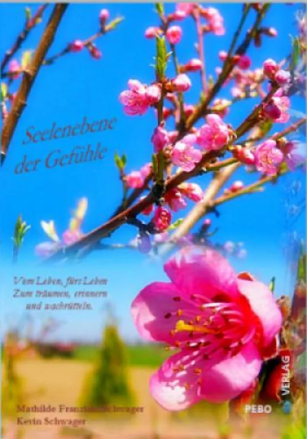 Das Cover des Lyrik-Bandes 