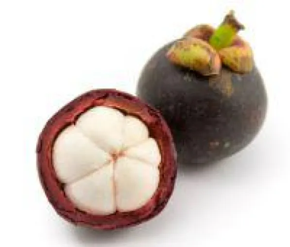 Mit der Mangostan-Frucht aus Süd-Ost-Asien dem Älterwerden entgegenwirken Bild: Mit der Mangostan-Frucht aus Süd-Ost-Asien dem Älterwerden entgegenwirken