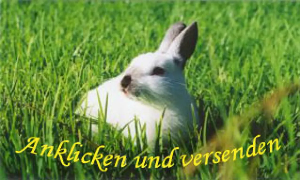 Hasenalarm bei KnowOne.de: Anklicken und versenden