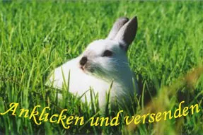 Bild: Hasenalarm bei KnowOne.de – Jetzt Osterkarten selbst entwerfen und versenden