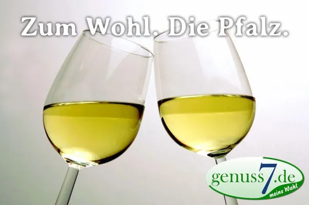 Bild: Die ersten Pfälzer Weine aus dem Jahr 2015 treffen ein und lassen keine Wünsche offen