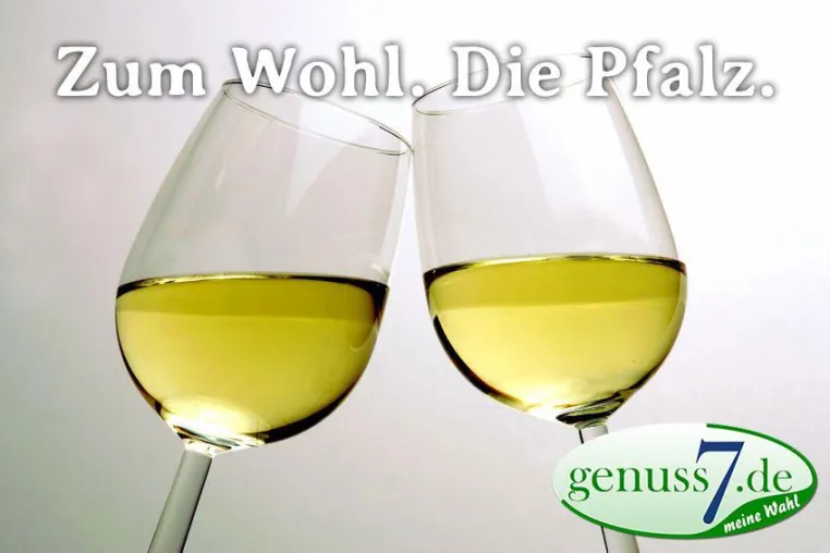 Die ersten Pfälzer Weine aus dem Jahr 2015 treffen ein und lassen keine Wünsche offen Bild: Die ersten Pfälzer Weine aus dem Jahr 2015 treffen ein und lassen keine Wünsche offen