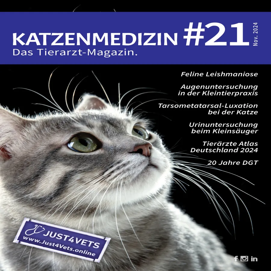 Katzenmedizin #21 - das Fachmagazin für Tierärzt:innen (© Andreas Moll)