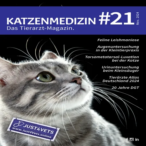 KATZENMEDIZIN 21: Fachmagazin für Tierärzt:innen erschienen! Bild: KATZENMEDIZIN 21: Fachmagazin für Tierärzt:innen erschienen!