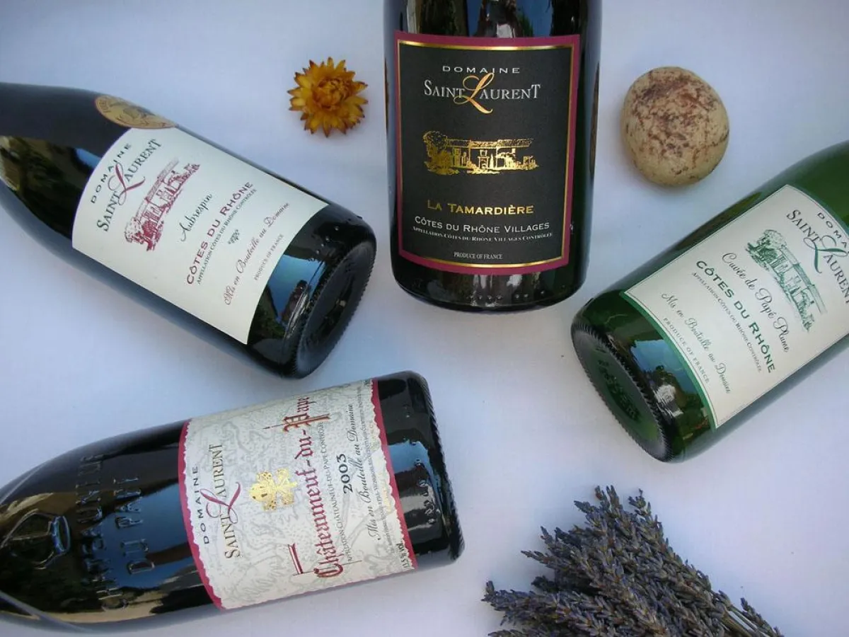 Anbau von hochwertigen Weinen im Rhône-Tal auf über 30 Hektar: das Weingut Domaine Saint Laurent