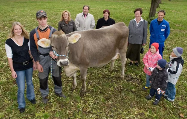 (Fast) jedem Bayer seine Kuh - Beim Verhältnis zwischen Kühen und Menschen steht es im Freistaat 1:10 Bild: (Fast) jedem Bayer seine Kuh - Beim Verhältnis zwischen Kühen und Menschen steht es im Freistaat 1:10