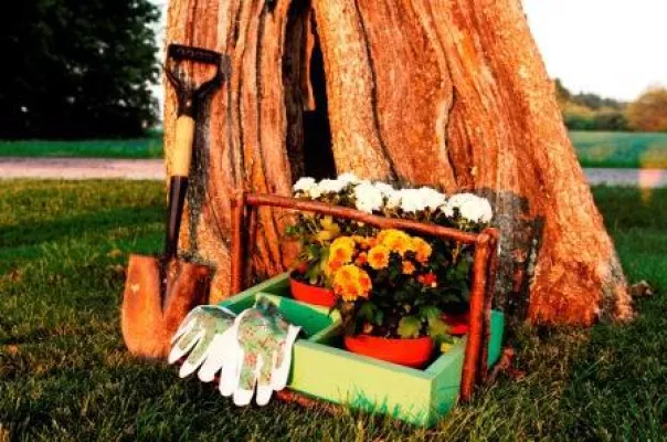 Herbstliche Tipps für Garten und Küche - gartenZEIT im Hotel Forsthofgut Bild: Herbstliche Tipps für Garten und Küche - gartenZEIT im Hotel Forsthofgut