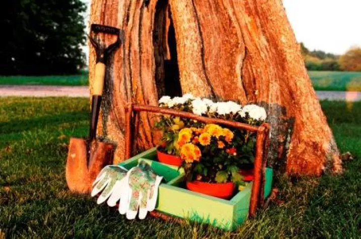 Herbstliche Tipps für Garten und Küche - gartenZEIT im Hotel Forsthofgut Bild: Herbstliche Tipps für Garten und Küche - gartenZEIT im Hotel Forsthofgut