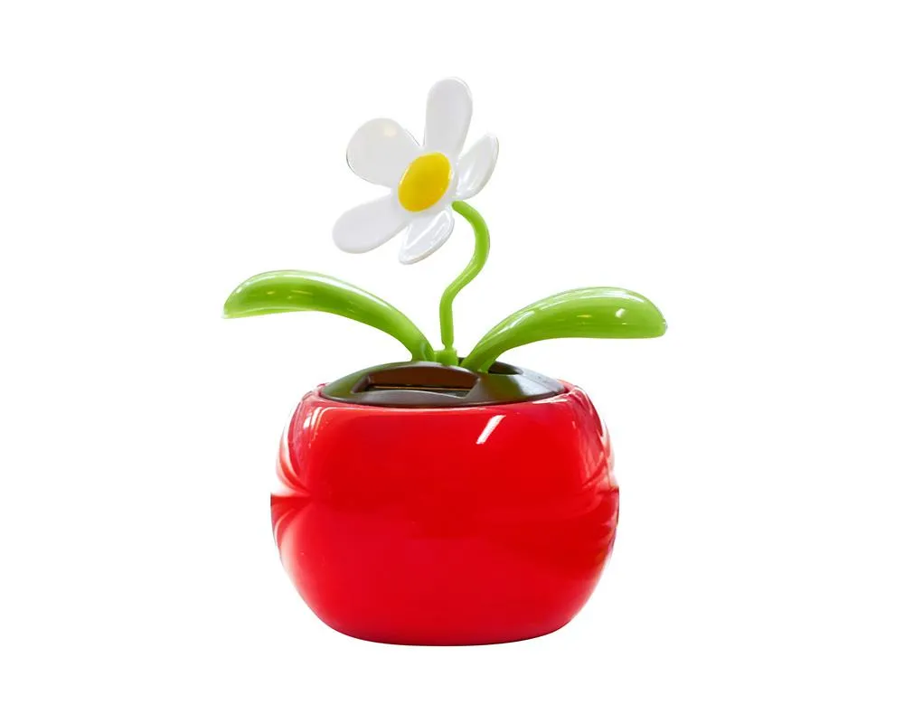 Solarblumen sind sympathische Streuartikel, nicht nur für den Sommer.