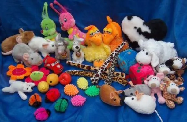 Bild: Der Katze liebstes Spielzeug - Kleiner Katzenkaufladen bietet hochwertiges Katzenzubehör