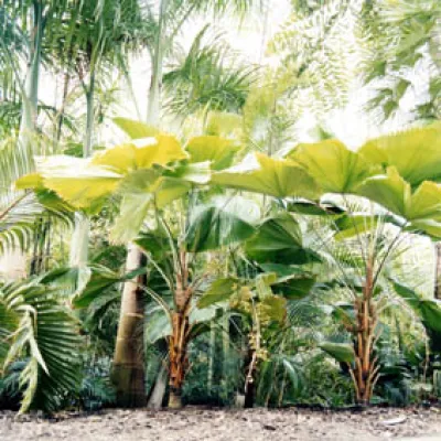 Bild: Fotografien von Etta Gerdes in der Rebhüüsli Galerie, Kreuzlingen, CH