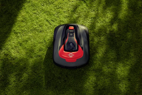 Bild: Rasenmähen hat sich noch nie so gelohnt.