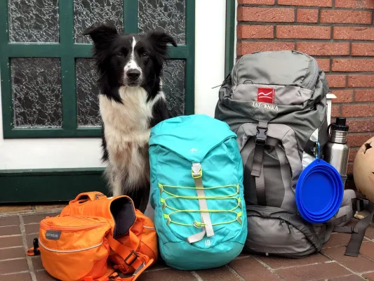 Abenteuer auf dem Rothaarsteig mit Kind und Hund Bild: Abenteuer auf dem Rothaarsteig mit Kind und Hund