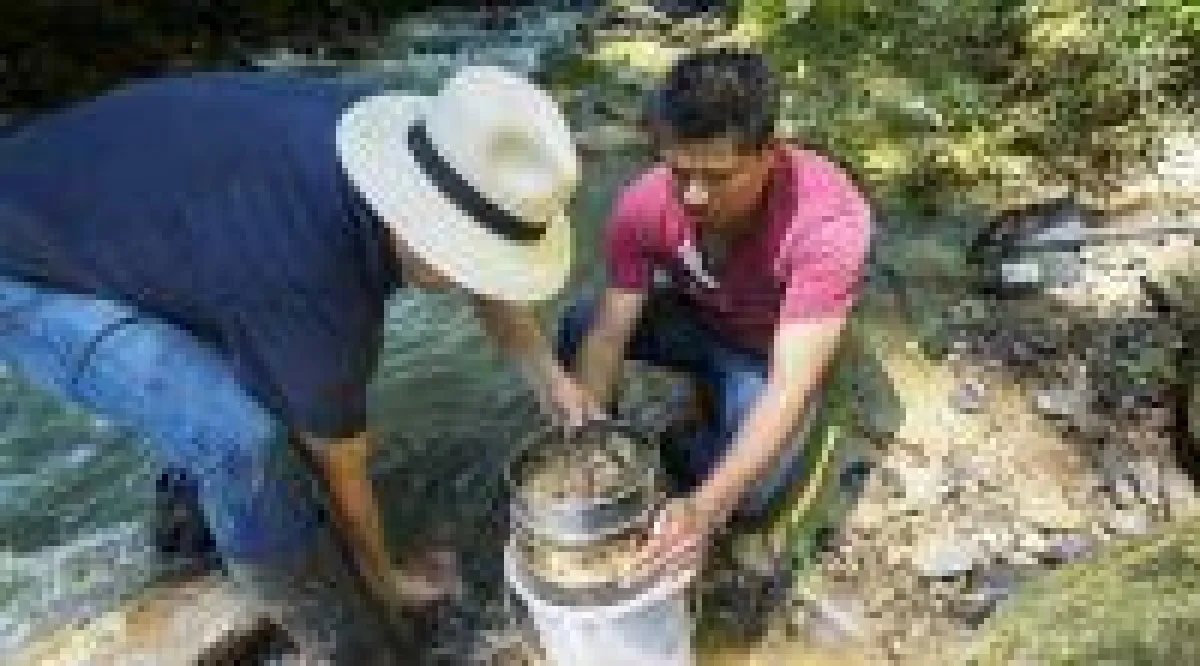 Quelle: Treasury Metals